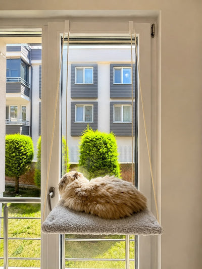 MİYAVHAV Askılı Kedi Pencere Yatağı - Peluş Kumaşlı Cam Önü Kedi Hamak Yatağı