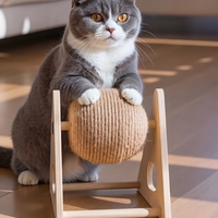 MİYAVHAV PETSHOP Ahşap Ipli Kedi Oyuncagi Topu Kedi Tırmalaması