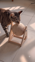 MİYAVHAV PETSHOP Ahşap Ipli Kedi Oyuncagi Topu Kedi Tırmalaması