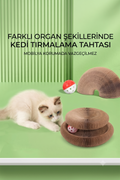 MİYAVHAV Akordiyon Kedi Oyuncağı