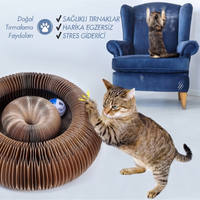 MİYAVHAV Akordiyon Kedi Oyuncağı