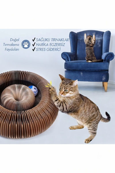 MİYAVHAV Akordiyon Kedi Oyuncağı