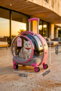 Premium XL Çekçekli Kedi Taşıma Valizi | Şeffaf Astronot Kedi & Küçük Köpek Taşıma Çantası Tekerlekli Şeffaf-Pembe