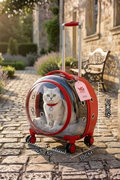 Premium XL Çekçekli Kedi Taşıma Valizi | Şeffaf Astronot Kedi & Küçük Köpek Taşıma Çantası Tekerlekli Şeffaf-Pembe