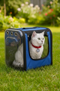 TV Tasarımlı Şeffaf Kedi Taşıma Çantası | Pet Sırt Çantası | Köpek Taşıma Çantası
