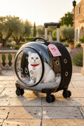 Premium XL Çekçekli Kedi Taşıma Valizi | Şeffaf Astronot Kedi & Küçük Köpek Taşıma Çantası Tekerlekli Şeffaf-Pembe