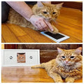 MİYAVHAV Kedi Köpek Pati İzi Fotoğraf Çerçevesi Seti