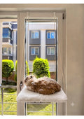MİYAVHAV Askılı Kedi Pencere Yatağı - Peluş Kumaşlı Cam Önü Kedi Hamak Yatağı