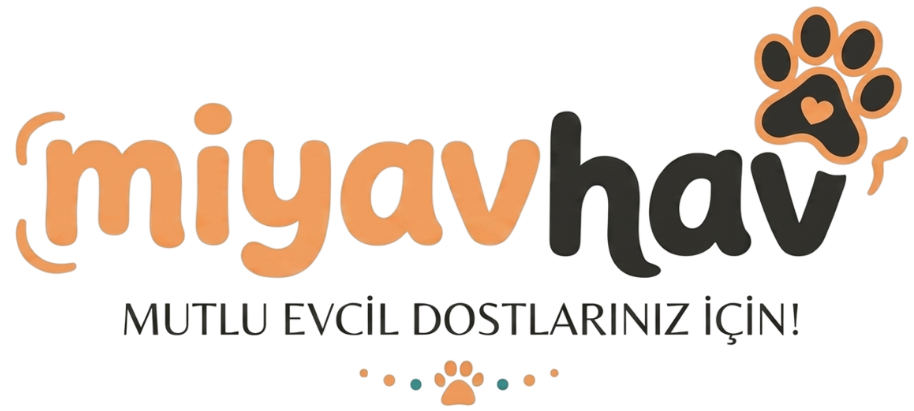 Miyavhav